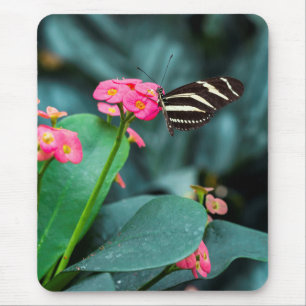 Tapis De Souris Papillon sur photographie de fleur rose