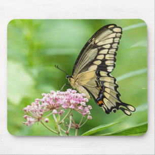 Tapis De Souris Papillon Sur Une Fleur