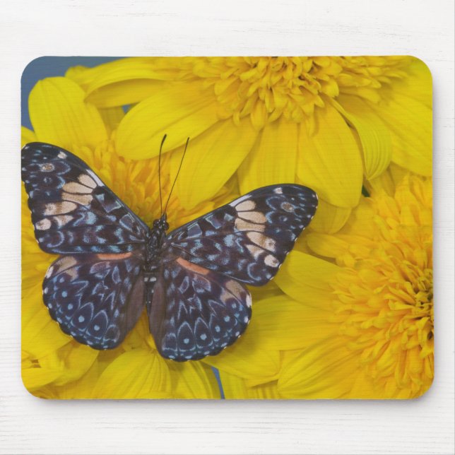 Tapis De Souris Papillon sur une Fleur Jaune (Devant)