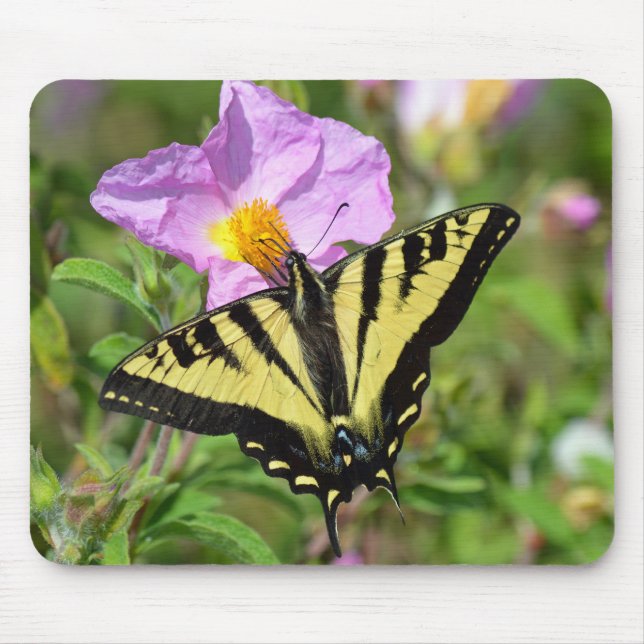 Tapis De Souris Papillon Swallowtail (Devant)
