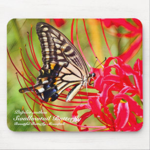 Tapis De Souris Papillon Swallowtail