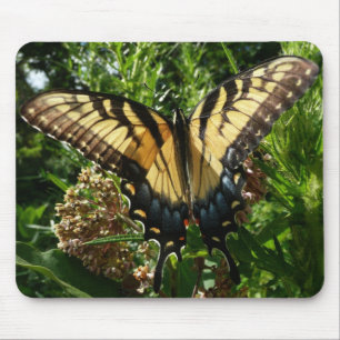 Tapis De Souris Papillon Swallowtail III Belle photo colorée
