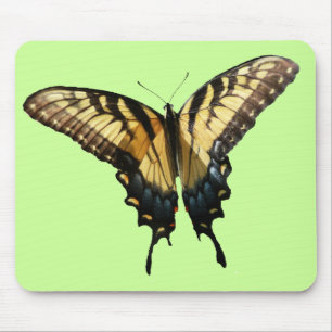 Tapis De Souris Papillon Swallowtail III Belle photo colorée