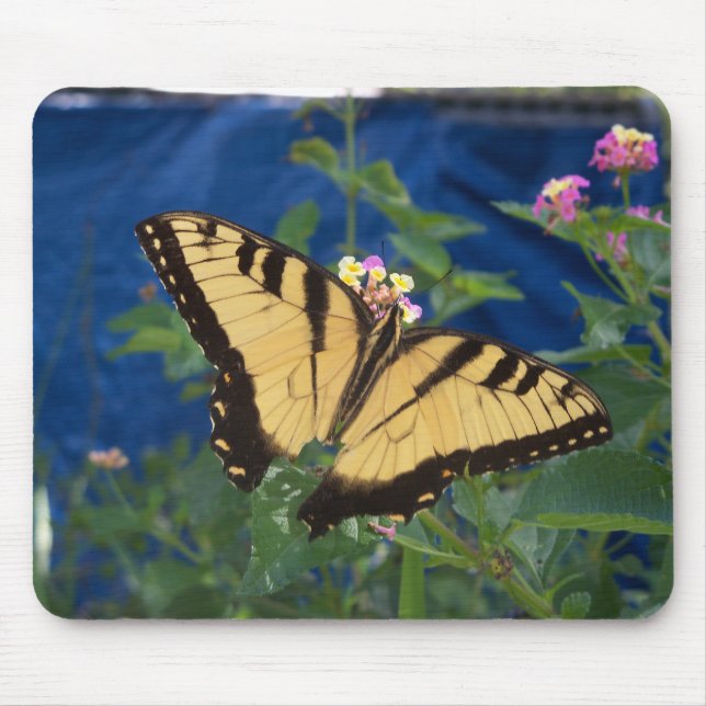 Tapis De Souris Papillon swallowtail jaune et noir (Devant)
