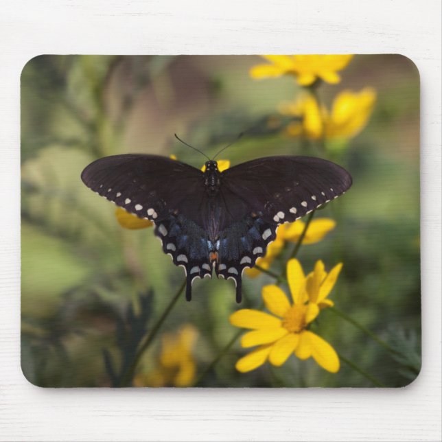 Tapis De Souris Papillon Swallowtail Springtime (Devant)