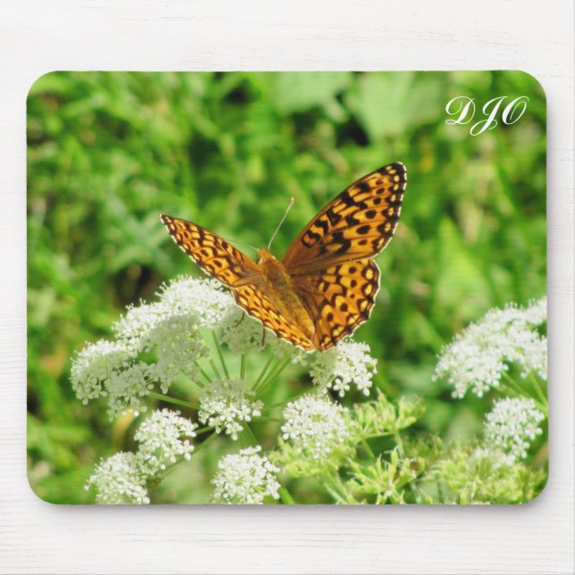 Tapis De Souris Papillon tigre sur Fleur blanche (Devant)