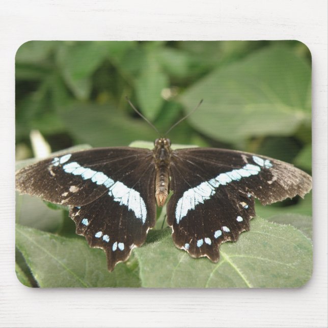 Tapis De Souris Papillon tropical noir et blanc Mousepad (Devant)