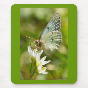 Tapis De Souris Papillon Vert sur Fausse Ail Parure et Cadeaux
