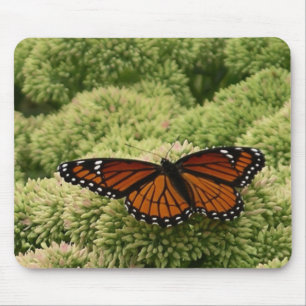 Tapis De Souris Papillon Viceroy Belle photographie de la nature