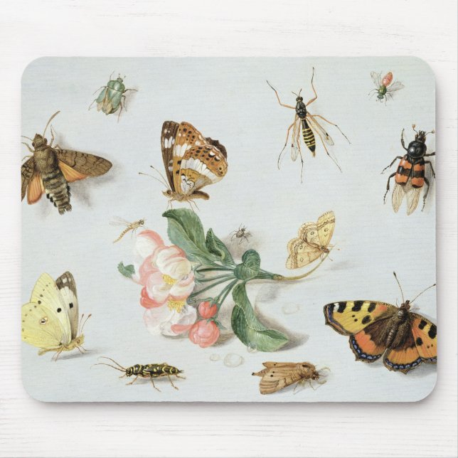 Tapis De Souris Papillons, mites et d'autres insectes (Devant)
