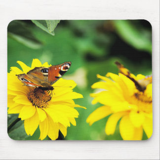 Tapis De Souris Papillons - Mousepad