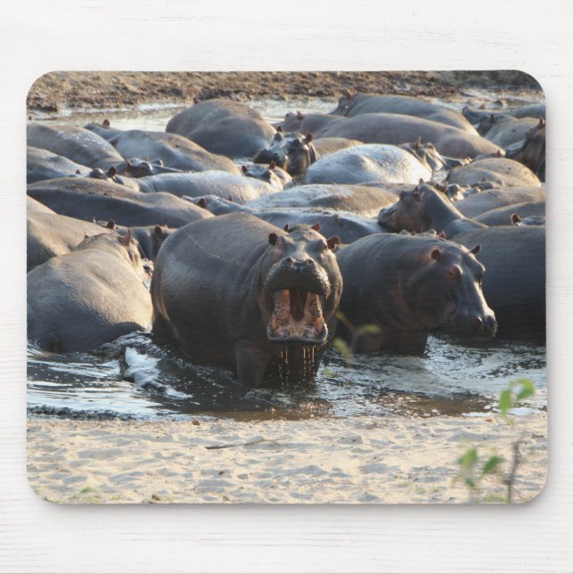 Tapis De Souris Paquet de souris Hippo (Devant)