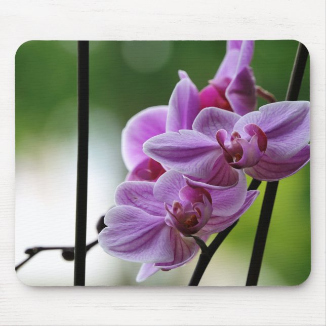 Tapis De Souris Paquet de souris orchidées (Devant)