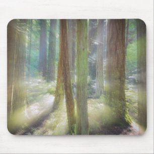 Tapis De Souris Parc d'État de Scenic Beach