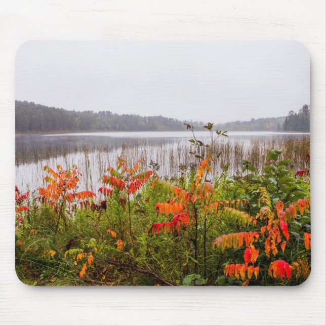 Tapis De Souris Parc d'État d'Itasca | Minnesota (Devant)