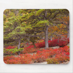 Tapis De Souris Parc national d'Acadia, Maine