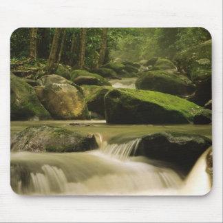 Tapis De Souris Parc national de Great Smoky Mountain, TN 2