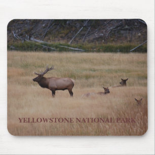 TAPIS DE SOURIS PARC NATIONAL DE YELLOWSTONE