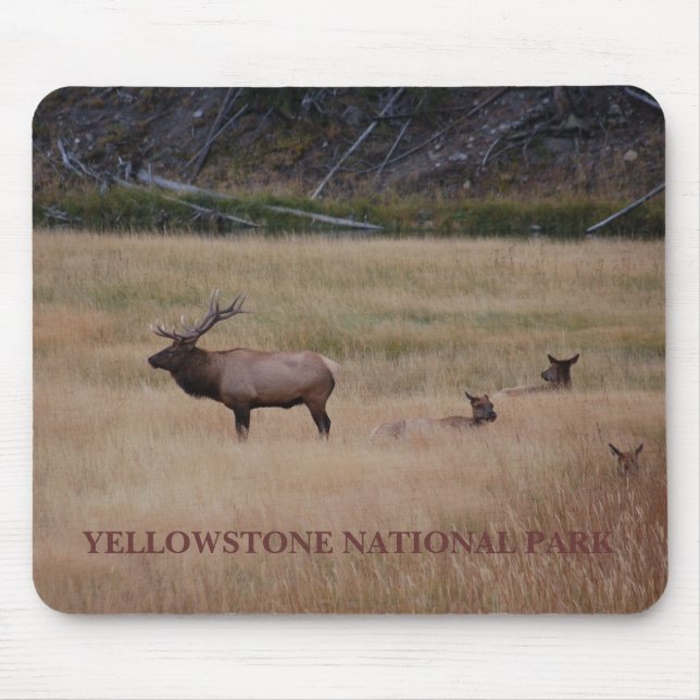 TAPIS DE SOURIS PARC NATIONAL DE YELLOWSTONE (Devant)