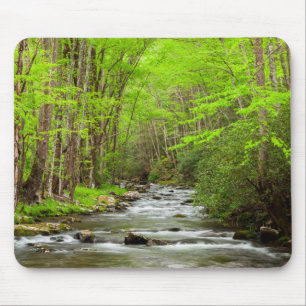 Tapis De Souris Parc national des Great Smoky Mountains Caroline d
