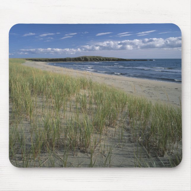 Tapis De Souris Parc provincial J.T. Chessman, herbe des dunes (Devant)