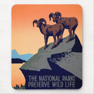 Tapis De Souris Parcs nationaux