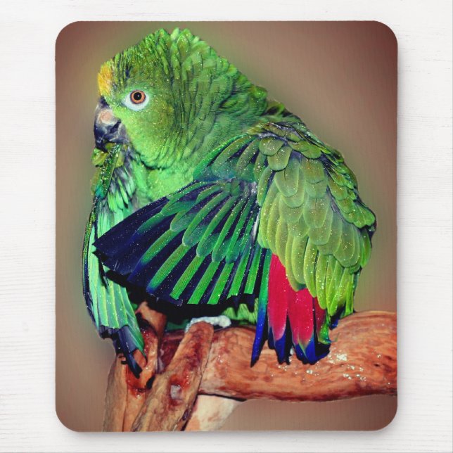 Tapis De Souris Parrot Amazon à Naples Jaune mignon (Devant)