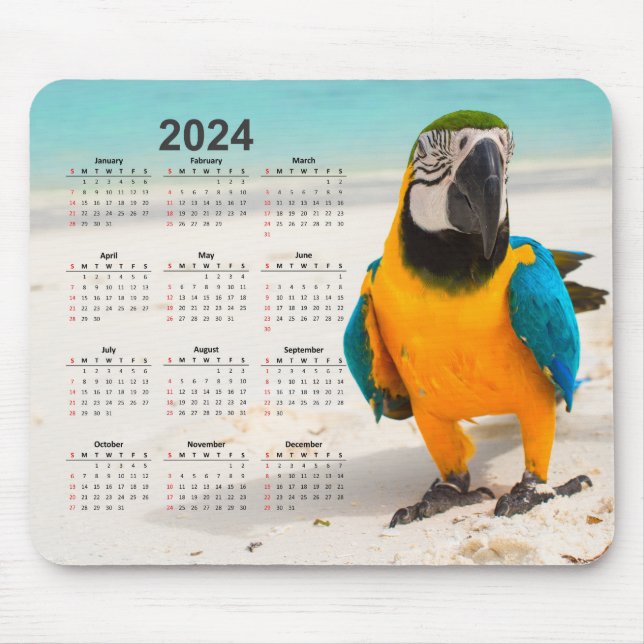 Tapis De Souris Parrot dans le calendrier Sand 2024 (Devant)