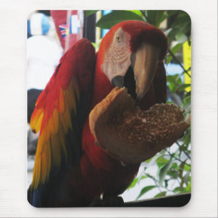 Tapis De Souris Parrot Macaw Scarlet Manger Toast