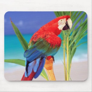 Tapis De Souris Parrot Souris