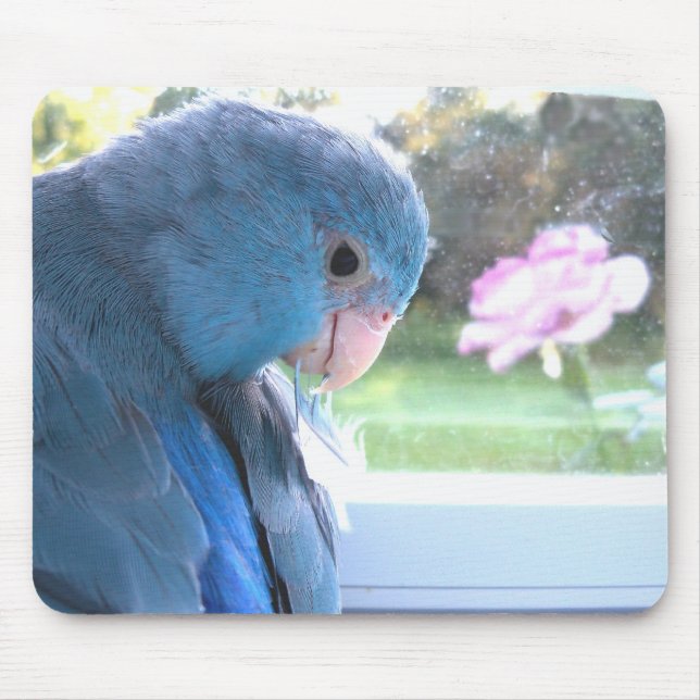Tapis De Souris Parrotlet Oiseau bleu communant avec la nature mou (Devant)