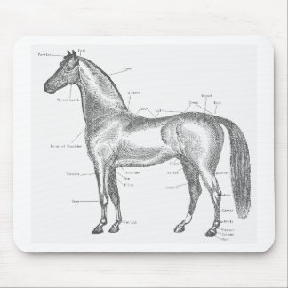Tapis De Souris Parties du cheval Mousepad