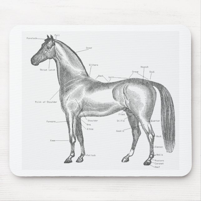 Tapis De Souris Parties du cheval Mousepad (Devant)
