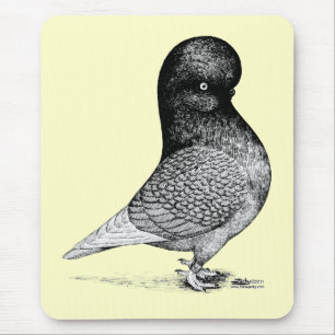 Tapis De Souris Paruline andalouse