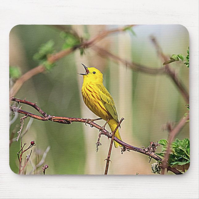 Tapis De Souris Paruline jaune chante (Devant)