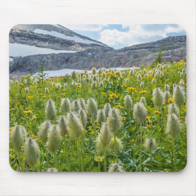 Tapis De Souris Pasqueflower occidental | Monts East Kootenay (Devant)