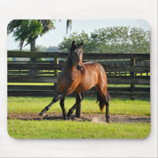 Tapis De Souris Passage de côté de Don Diego