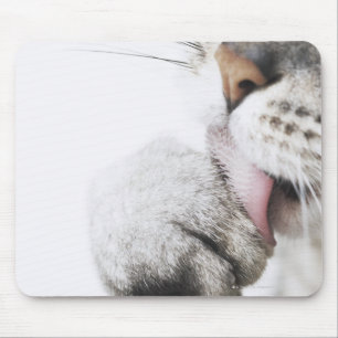 Tapis De Souris Patte de nettoyage de chat, plan rapproché