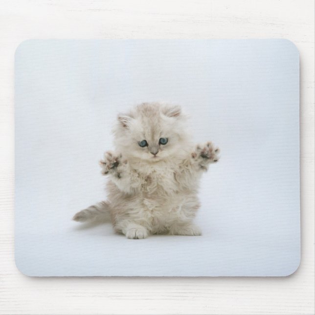 Tapis De Souris Pattes (Devant)