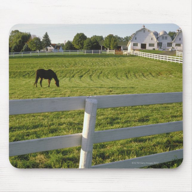 Tapis De Souris Pâturage de chevaux à la ferme (Devant)