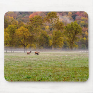 Tapis De Souris Pâturage de Mousepad de Couple d'Elc