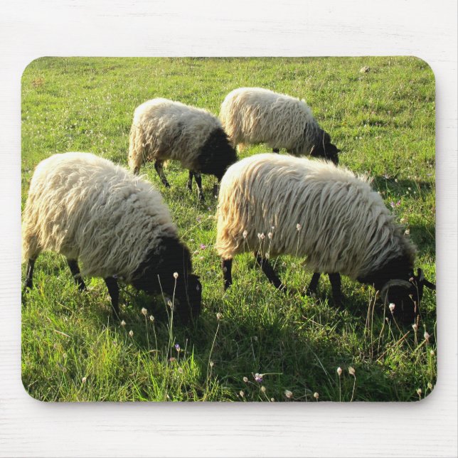 Tapis De Souris Pâturage des moutons (Devant)