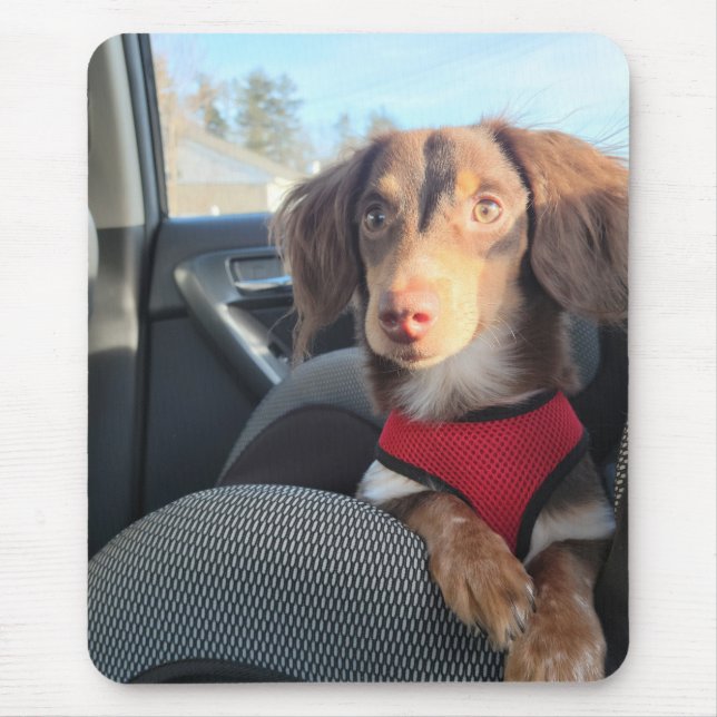 Tapis De Souris pavé de souris avec Kio le chiot (Devant)