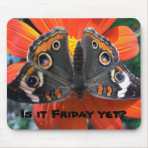 Pavé de souris humour vendredi