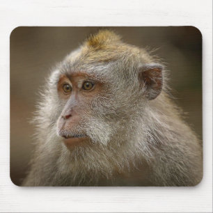 Tapis De Souris pavé de souris Monkey