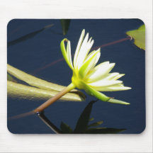 pavé de souris nénuphar lotus blanc