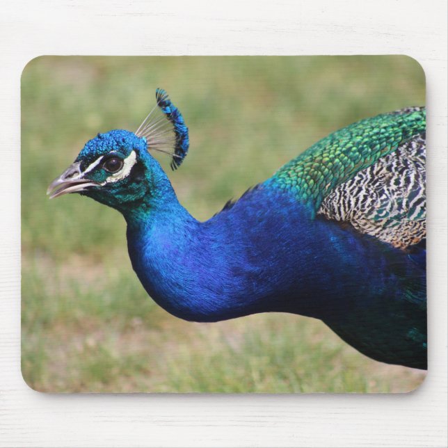Tapis De Souris Pavé de souris Peacock (Devant)