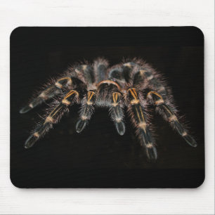 Tapis De Souris pavé de souris tarantule