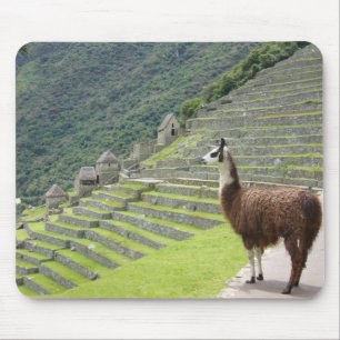 Tapis De Souris pavé en lama