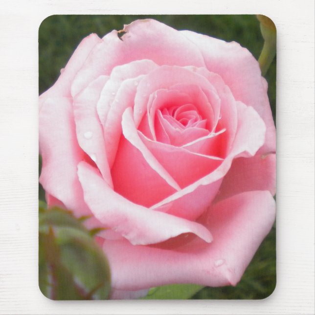 Tapis De Souris Pavé rose rose rose (Devant)
